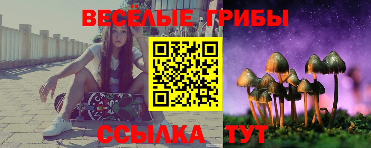 Старый Оскол  Псилоцибиновые грибы GOLDEN TEACHER  Вход с VPN 