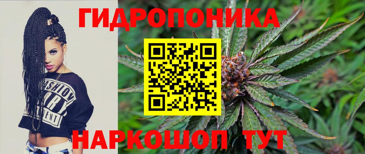 МАРИХУАНА сатива Старый Оскол